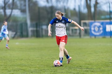 Bild 224 - wBJ Hamburger SV - Eimsbuettler TV : Ergebnis: 4:0